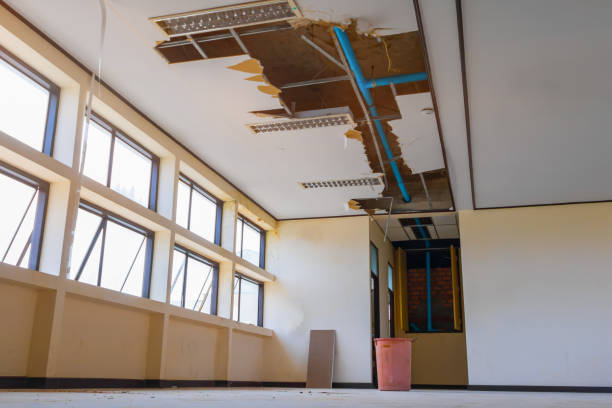  Superior, NE Water damage restoration Pros