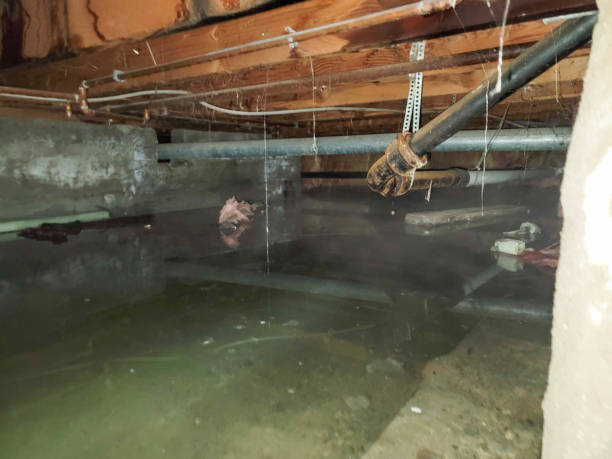Best Flood restoration services  in Superior, NE