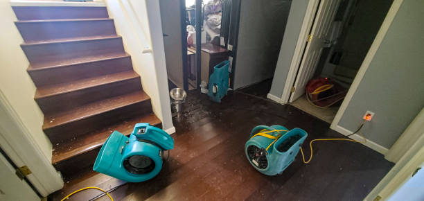 Best Water damage restoration company  in Superior, NE