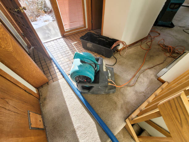 Best Water damage contractors near me  in Superior, NE