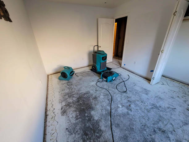 Best Flood damage cleanup  in Superior, NE