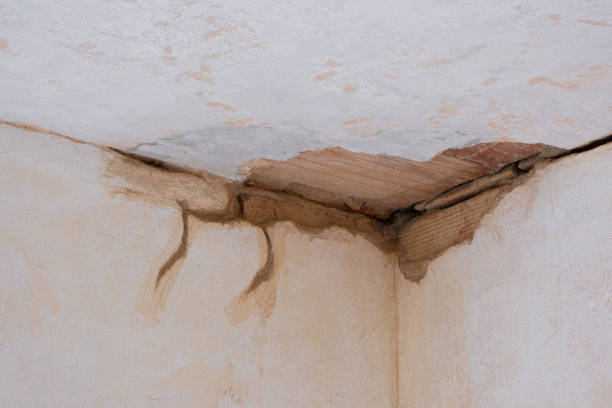 Best 24/7 water damage repair  in Superior, NE