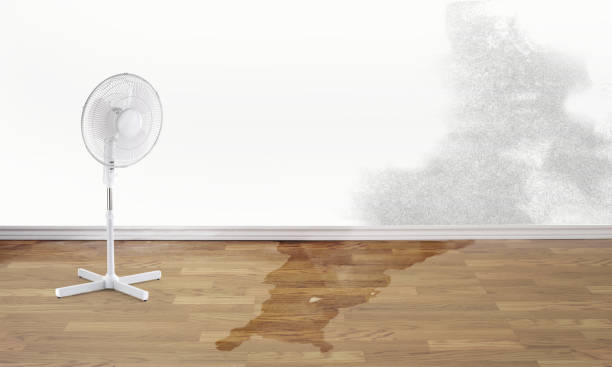 Best Water damage restoration near me  in Superior, NE