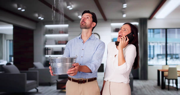 Best Professional water damage repair  in Superior, NE
